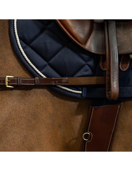 Collier De Chasse Dy'on Anatomique D Collection Brun