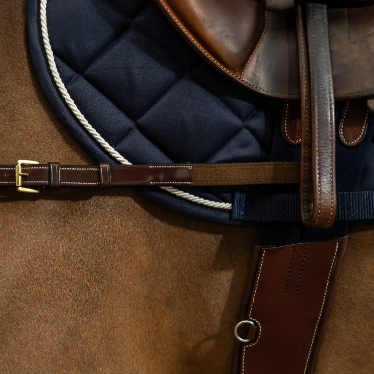 Collier De Chasse Dy'on Anatomique D Collection Brun