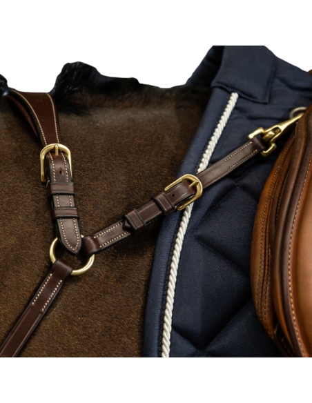 Collier De Chasse Dy'on Anatomique D Collection Brun