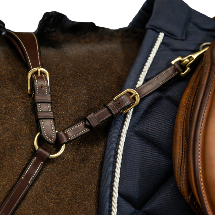 Collier De Chasse Dy'on Anatomique D Collection Brun