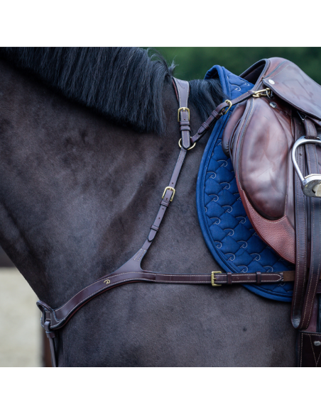 Collier De Chasse Dy'on Anatomique D Collection Brun