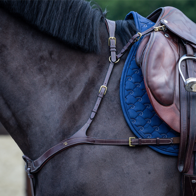 Collier De Chasse Dy'on Anatomique D Collection Brun
