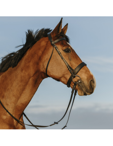 Riding World Wide Noseband Bridle Black