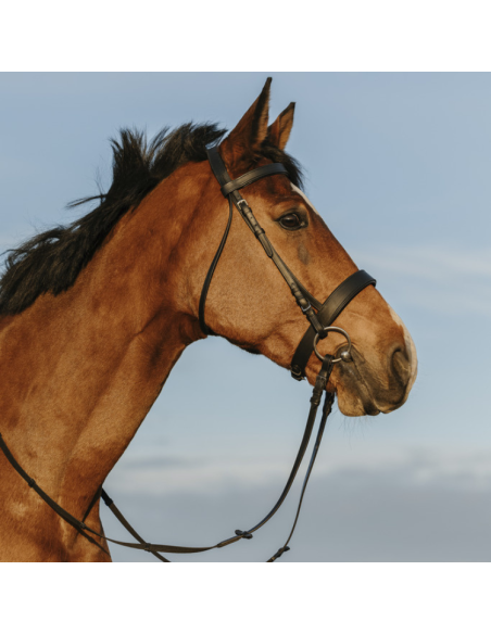 Riding World Wide Noseband Bridle Black