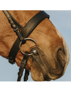 Bridon Riding World Muserolle Large Noir 2