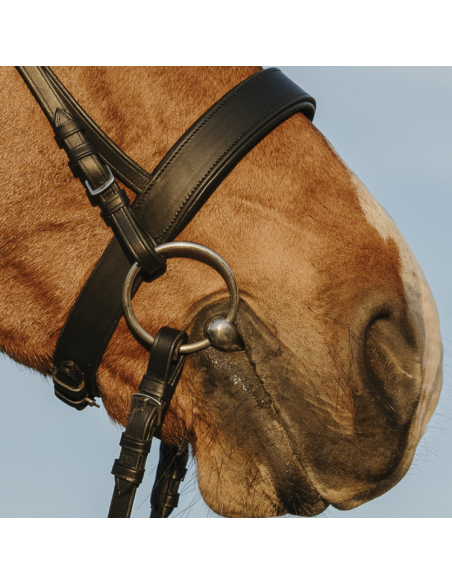 Riding World Wide Noseband Bridle Black