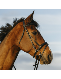 Bridon Riding World Muserolle Combinée Noir