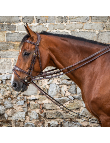 Rênes Allemandes Dy'On Cuir MARRON