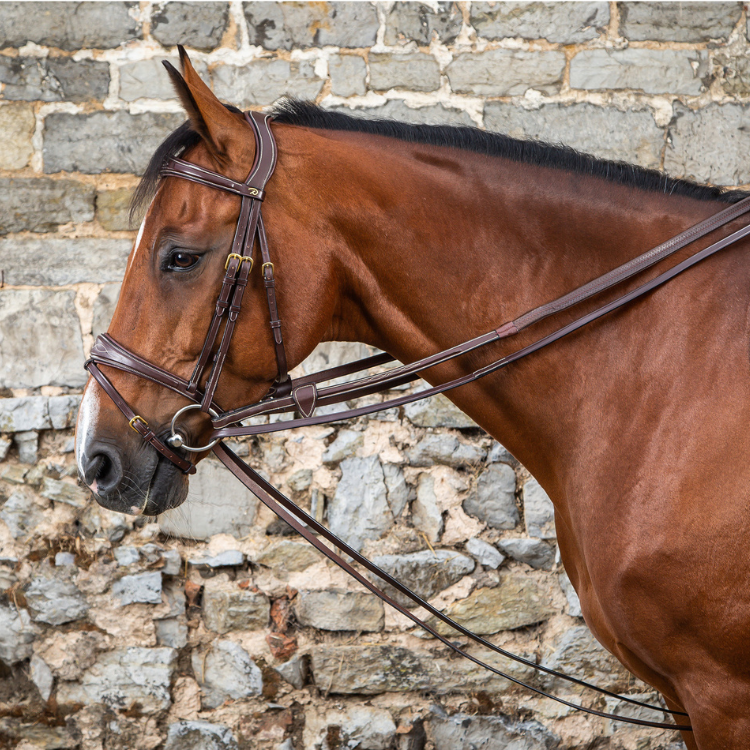 Rênes Allemandes Dy'On Cuir MARRON