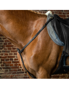 Collier de chasse Dy'on Hunter NOIR