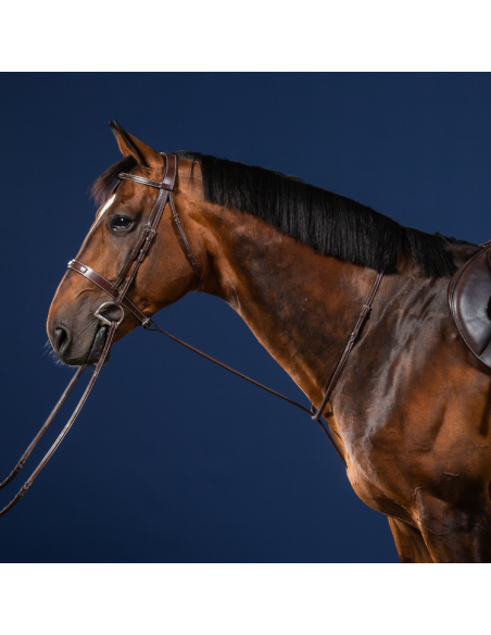 Martingale Fixe Dy'On Hunter MARRON