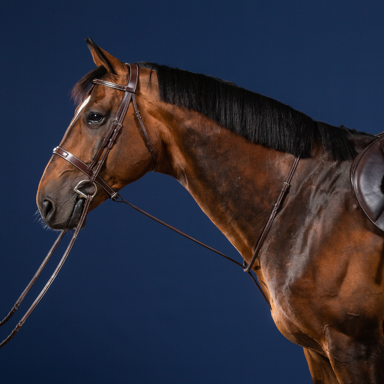 Martingale Fixe Dy'On Hunter MARRON