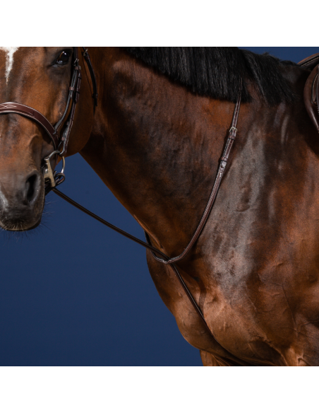 Martingale Fixe Dy'On Hunter MARRON