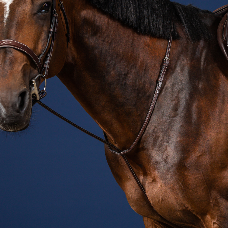 Martingale Fixe Dy'On Hunter MARRON