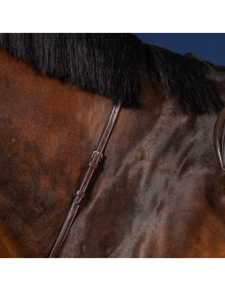 Martingale Fixe Dy'On Hunter MARRON