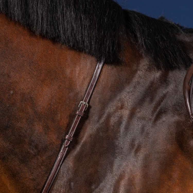 Martingale Fixe Dy'On Hunter MARRON