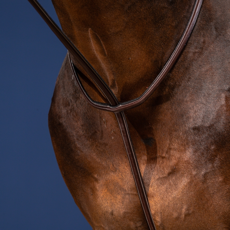 MARTINGALE A ANNEAUX | NORTON | Martingale Équitation | JCD Sellerie