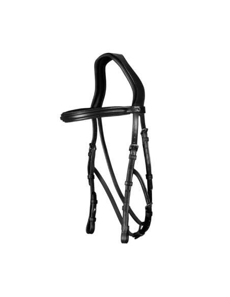 Bridon Dy'on Hackamore NEC NOIR