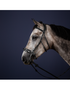 Bridon Dy'on Hackamore NEC NOIR 2