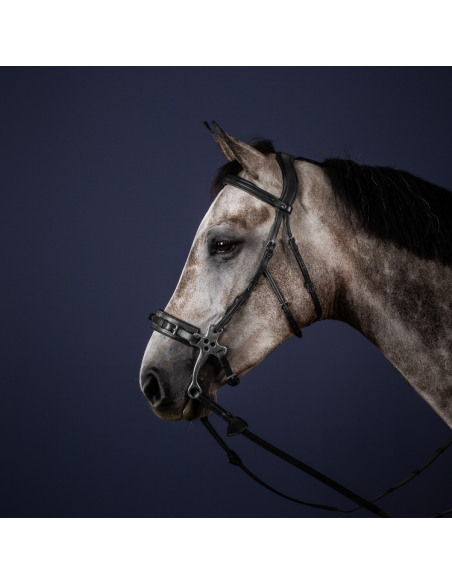 Bridon Dy'on Hackamore NEC NOIR