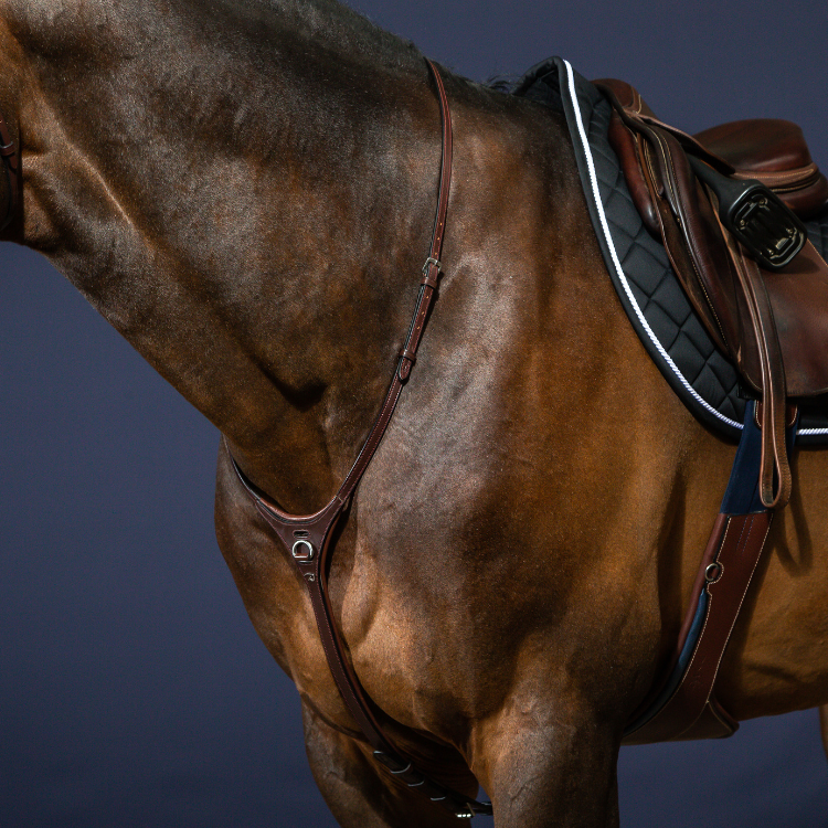 Collier Dy'on Yoke NEC MARRON