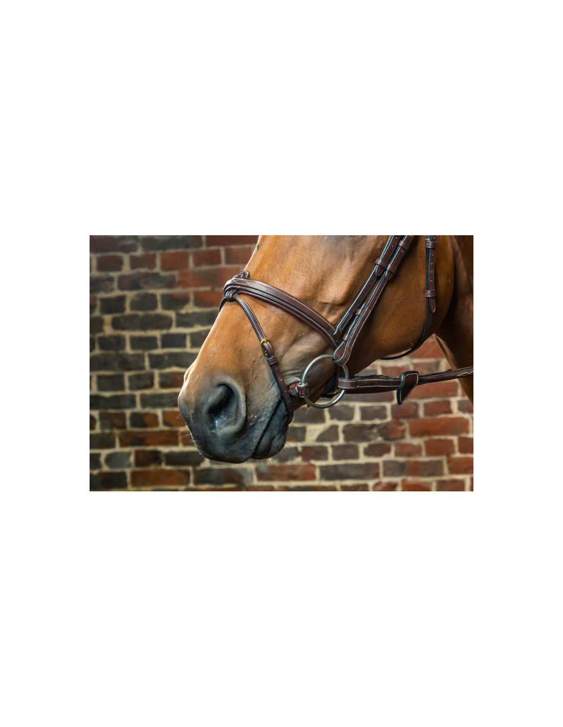 Bandes Et Sous- Bandes Pour Le Cheval | Tosoni Selleria