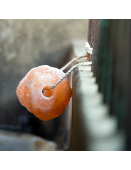 Pierre à Sel Hippotonic Himalaya