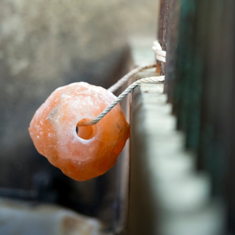 Pierre à Sel Hippotonic Himalaya