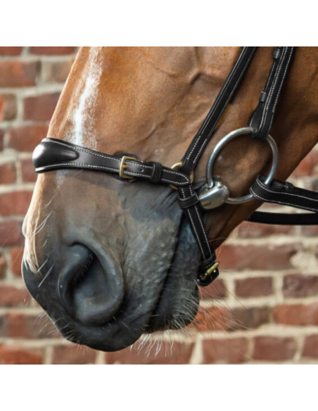 Muserolle Allemande Dy'on Ajustable D Collection NOIR