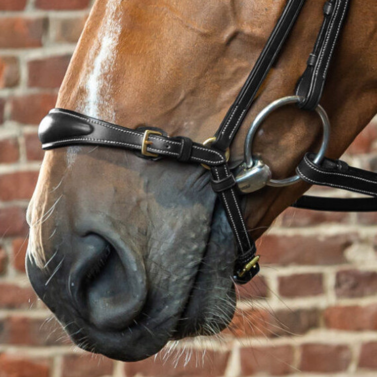 Muserolle Allemande Dy'on Ajustable D Collection NOIR