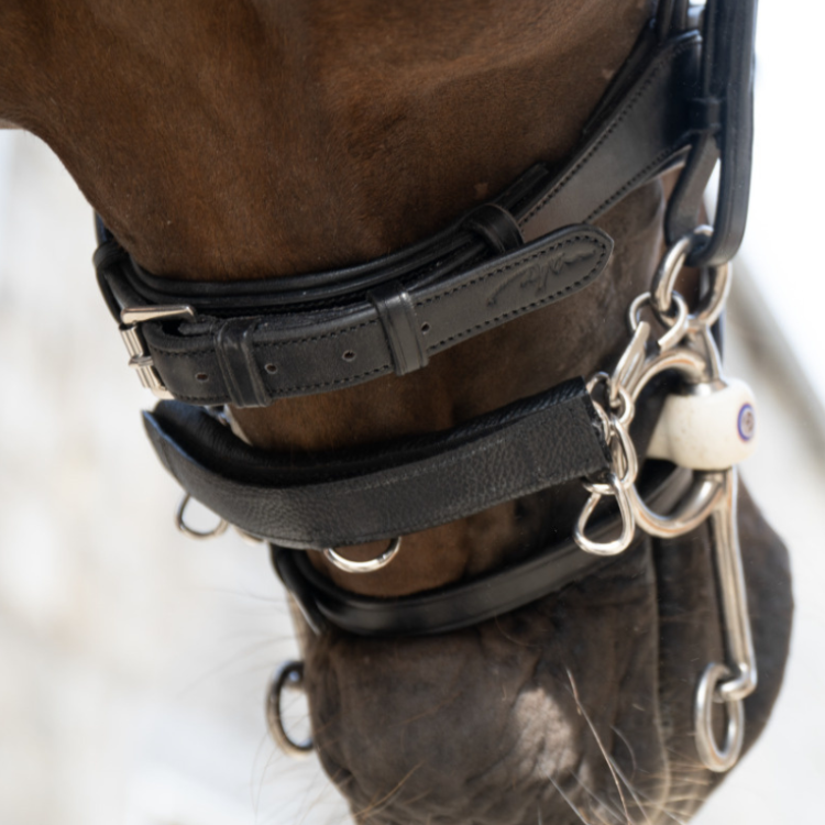 Protège Gourmette Dy'on En Cuir MARRON