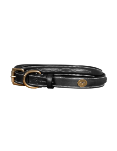 Collier Pour Chien Dy'on Avec Surpiqure Décorative NOIR