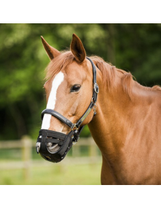 Panier Norton Muselière Noir 2