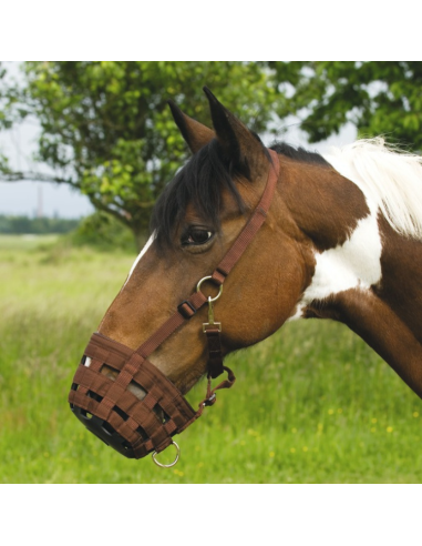 Hippotonic Nylon Muzzle Chocolate