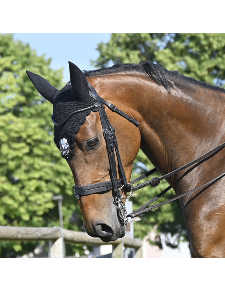 Bride IHWT Évolution Soft T Contact Sans Pull-Back Noir