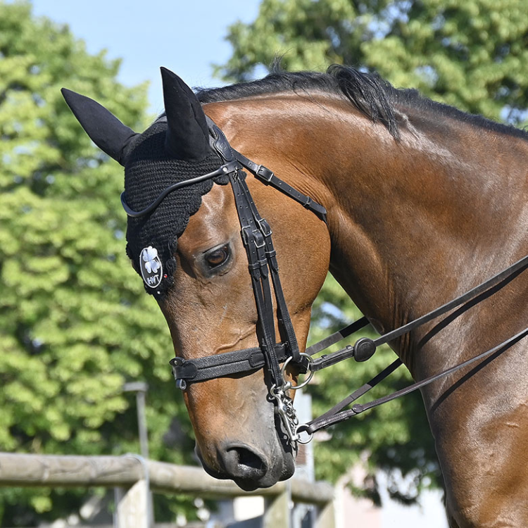 Bride IHWT Évolution Soft T Contact Sans Pull-Back Noir