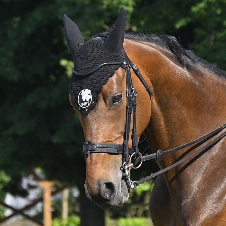 Bride IHWT Évolution Soft T Contact Sans Pull-Back Noir