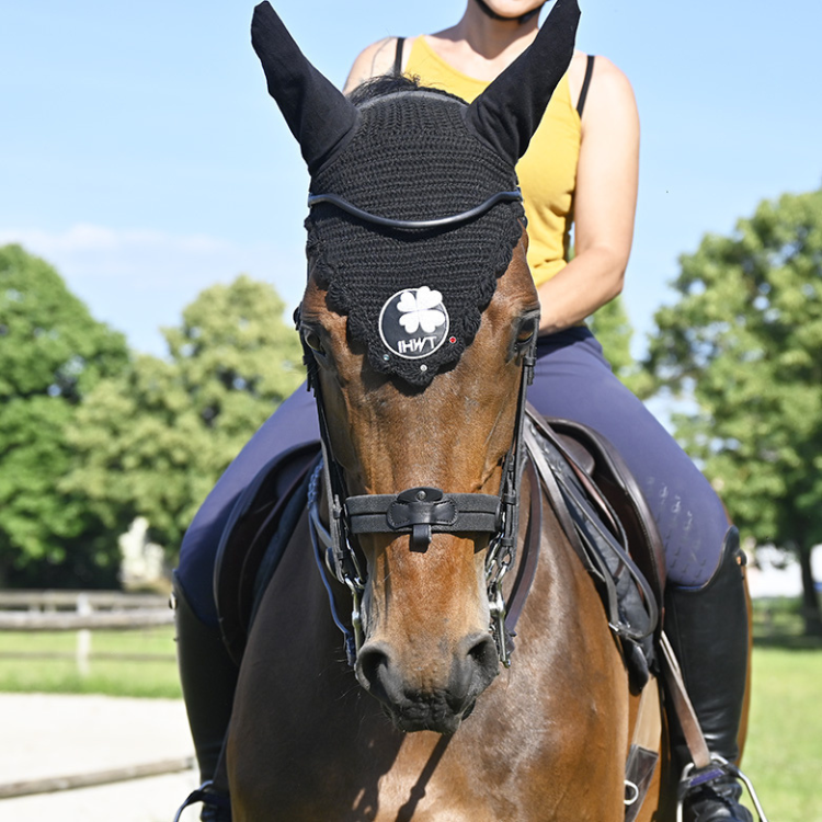 Bride IHWT Évolution Soft T Contact Sans Pull-Back Noir