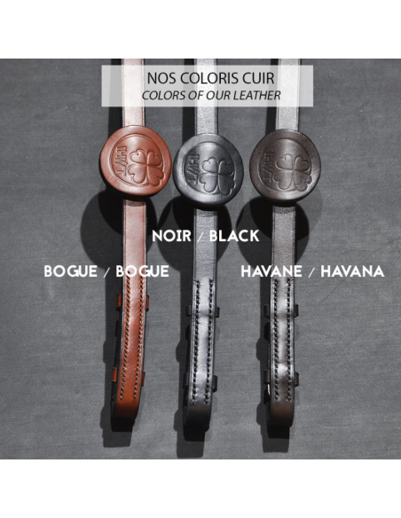 Couleurs Cuirs IHWT