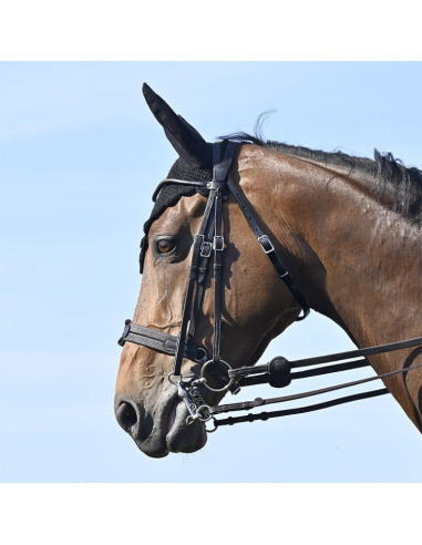 IHWT Evolution Soft T Contact Dressage With Pull-Back Weymouth Bridle Black