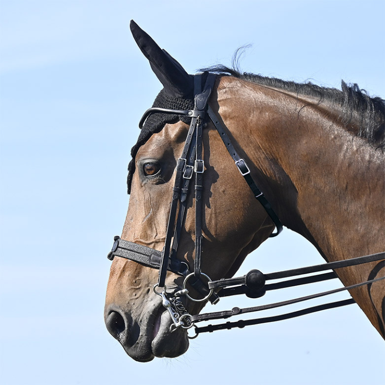 Bride IHWT Évolution Soft T Contact Dressage Avec Pull-Back Noir