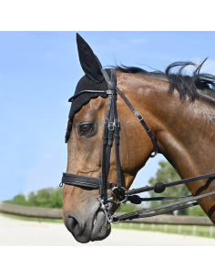 Bride IHWT Évolution Conctact Dressage Pull-Back Noir