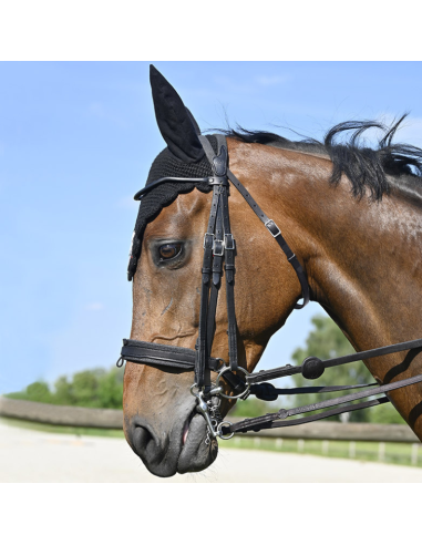 Bride IHWT Évolution Conctact Dressage Pull-Back Noir