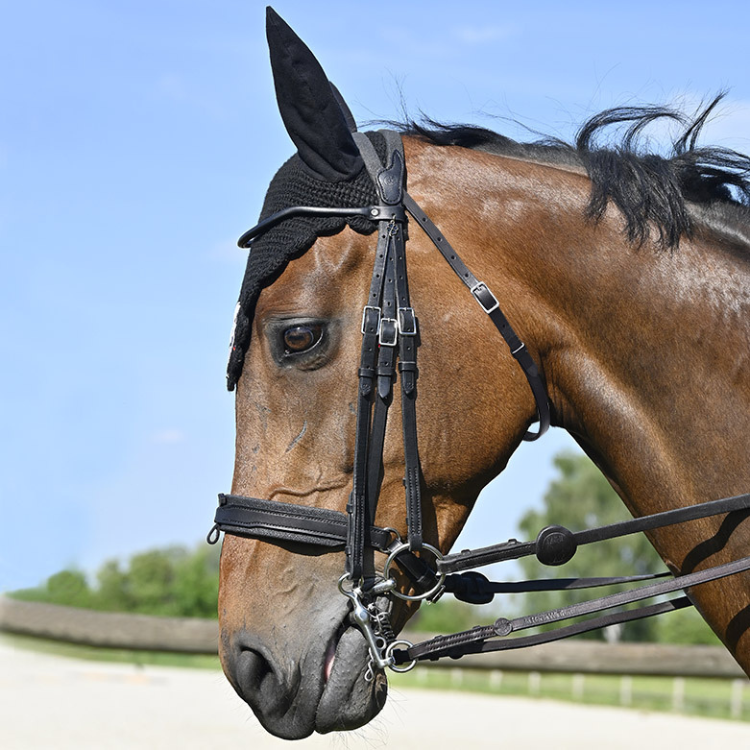 Bride IHWT Évolution Conctact Dressage Pull-Back Noir