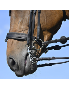 Bride IHWT Évolution Conctact Dressage Pull-Back Noir 2