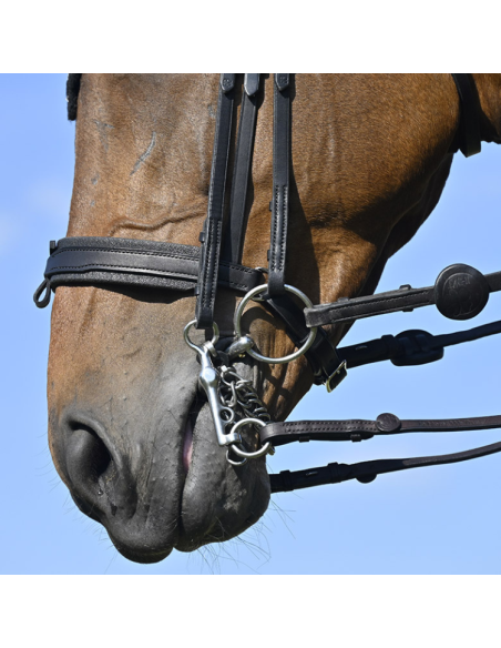 Bride IHWT Évolution Conctact Dressage Pull-Back Noir