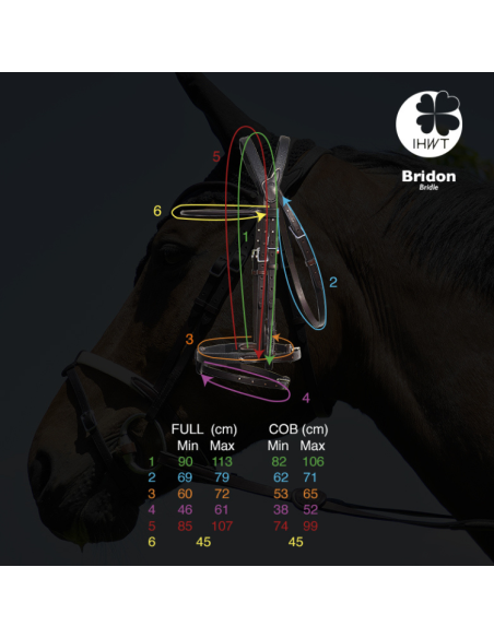 Bride IHWT Évolution Conctact Dressage Pull-Back Guide Des Tailles