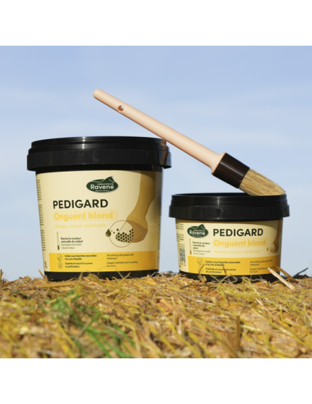 Onguent Blond Ravene Pedigard