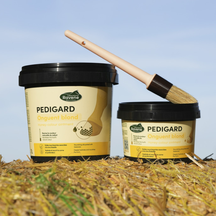 Onguent Blond Ravene Pedigard