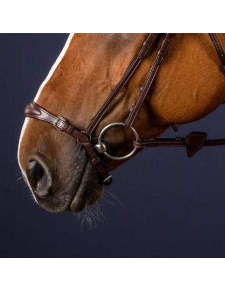 Muserolle Allemande Dy'on Ajustable NEC MARRON